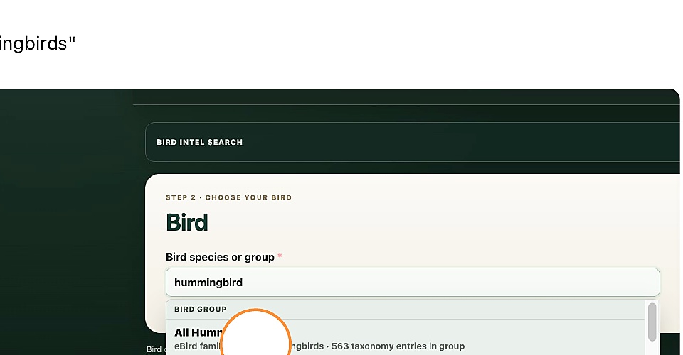 Bird Intel bird search with hummingbird entered and All Hummingbirds available
